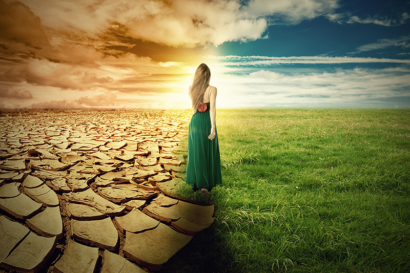 A Climate Change Concept Image. Landscape green grass and drough