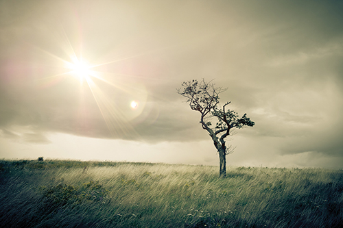 Concept deuil tristesse et chagrin