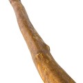 didgeridoo