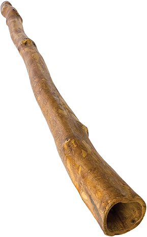 didgeridoo