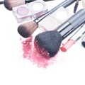 brushes on eye shadows palette