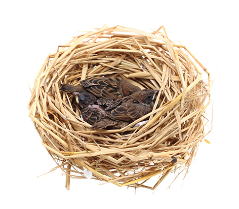 blue sky clouds,Blue sky with clouds.
