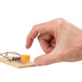 Hand Reaching for Cheese in a Mousetrap