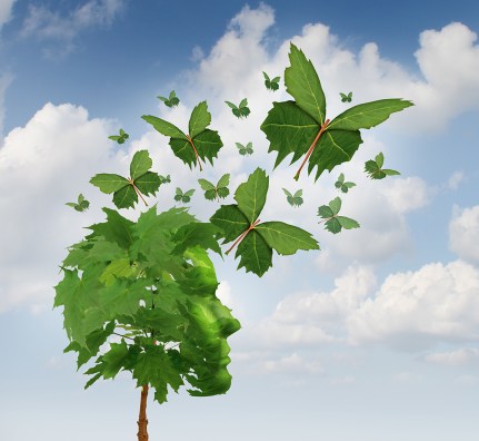 Creative Communicaion