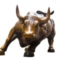 Charging Bull isolated on white background.